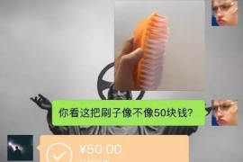 宣威企业清欠服务